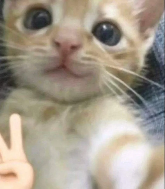 Neow ^^