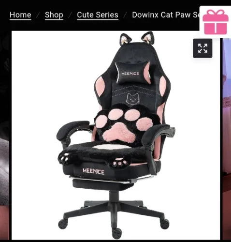 Gamer chair