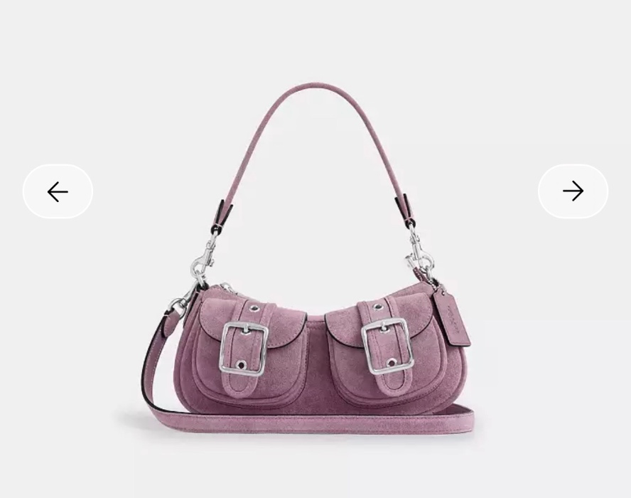 Coach Ashton Bag (from a reseller :,)