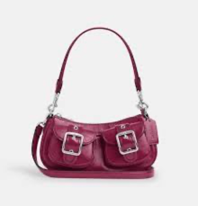Coach Ashton Bag (from reseller :,)
