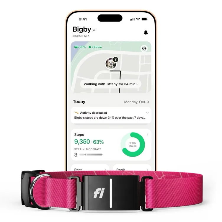 Fi Series 3+ Smart Dog Collar