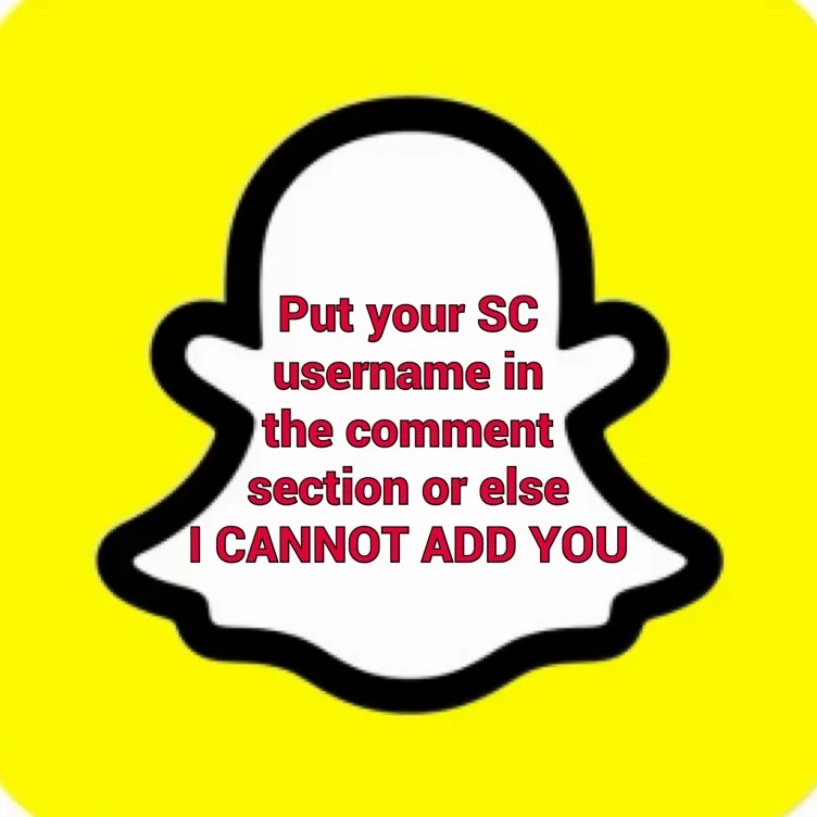 👻SNAPCHAT Access - $25