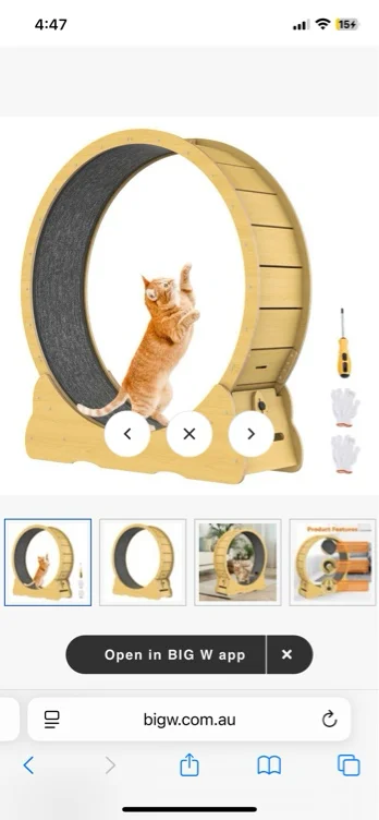 Advwin Cat Exercise Wheel Cat Treadmill Cat Running Wheel