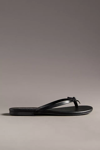 Seychelles Wishlist Sandals
