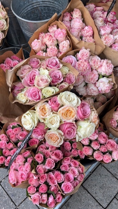 roses