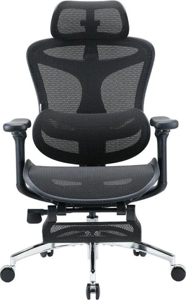 Sihoo Doro C300 (47 - 55 cm)