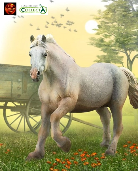 American Cream Draft Stallion Horse Toy Model Figure by CollectA 88846 Brand New
