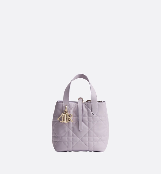 Small Dior Toujours Vertical Tote Bag