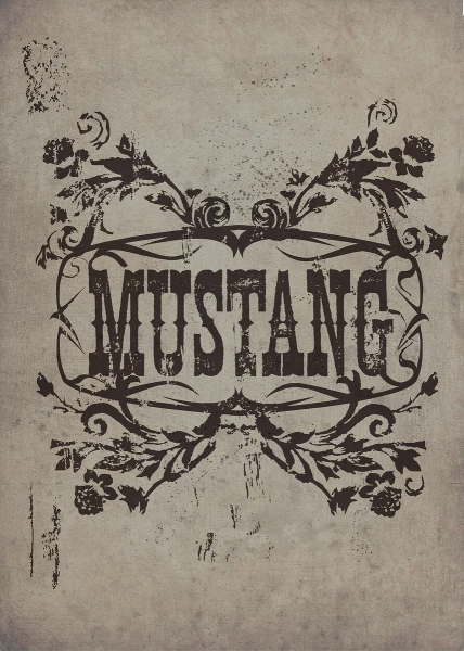 'Mustang graphics' Poster, picture, metal print, paint by Ford | Displate