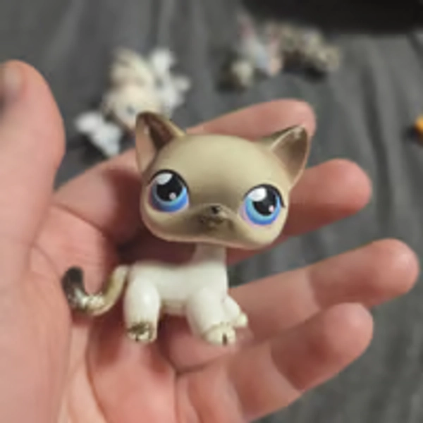 LPS Littlest Pet Shop Shorthair Cat Siamese #5