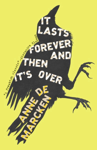It Lasts Forever and Then It's Over by Anne de Marcken | Librairie Drawn & Quarterly