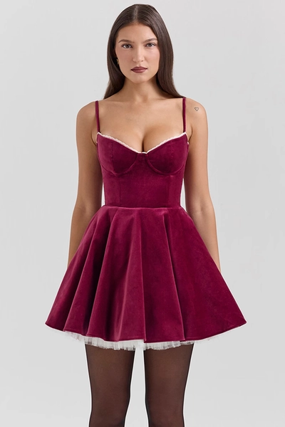 Minimoiselle Burgundy Velvet Tulle Mini Dress