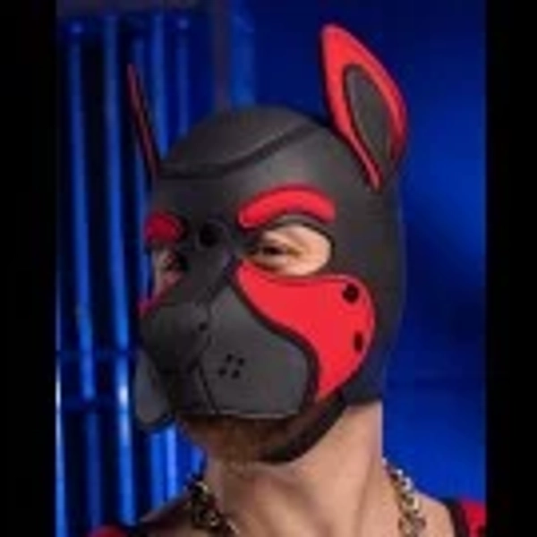 Neoprene Frisky Pup Hood - MEDIUM