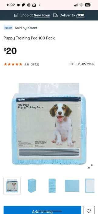 Puppy Pads 100 Pack 