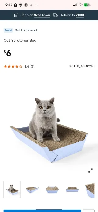 Cat scratcher bed 