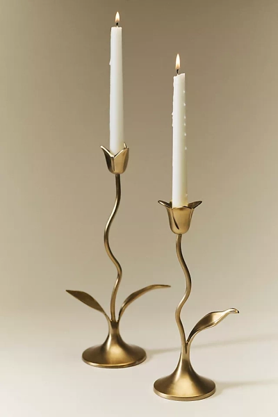 Emilia Tulip Candle Holder