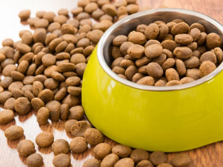 Pellets for shy puppies🐾