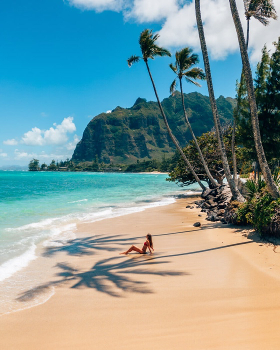 HAWAII VACATION FUND 🌺
