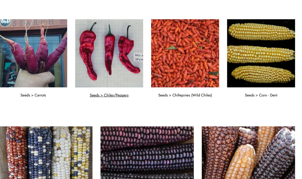 Heirloom Seed Preservation