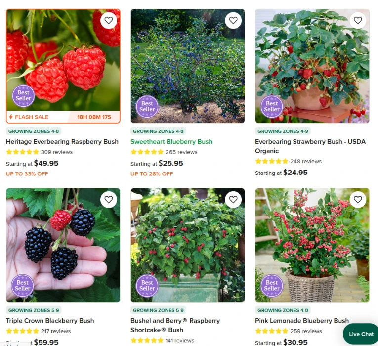 Five Berry Bushes