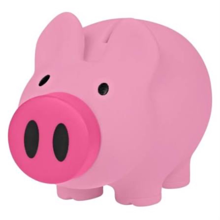 Piggy bank savings