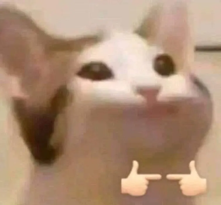 tiny meow ଘ(੭ˊ꒳ˋ)੭✧