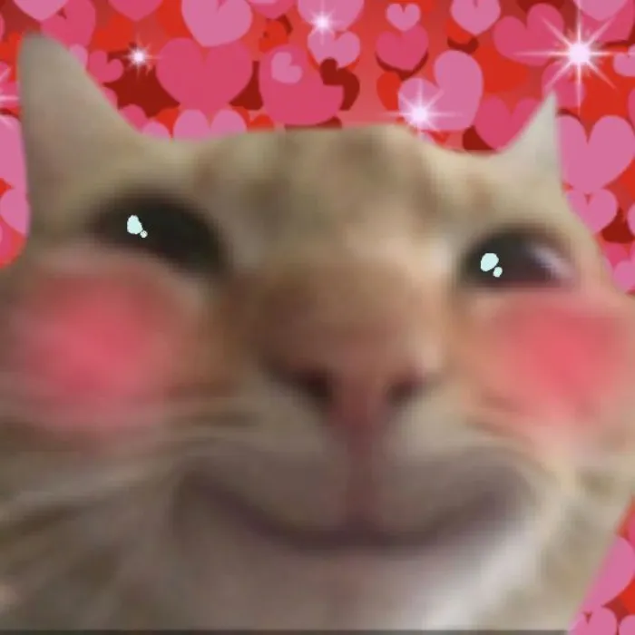 medium meow ଘ(੭ˊ꒳ˋ)੭✧