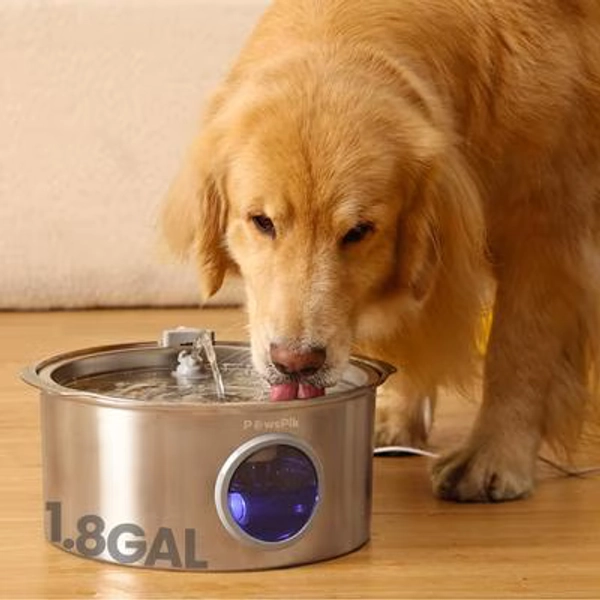 PAWSPIK Ultra-Quiet Stainless Steel Dog Water Fountain, 1.8-gal - Chewy.com