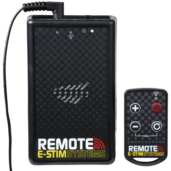 E-stim Systems Remote System