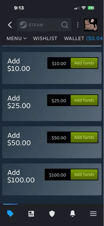 Steam Funds $100