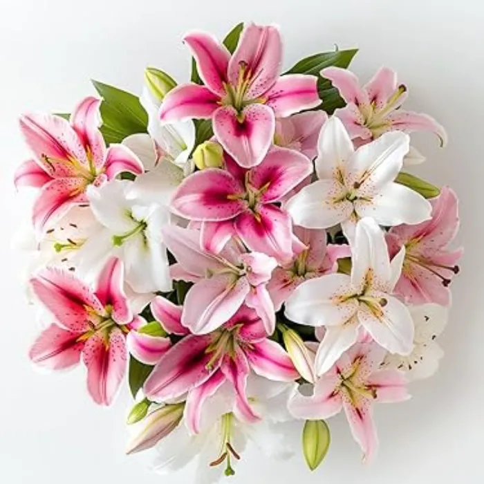 Fresh flowers for My home