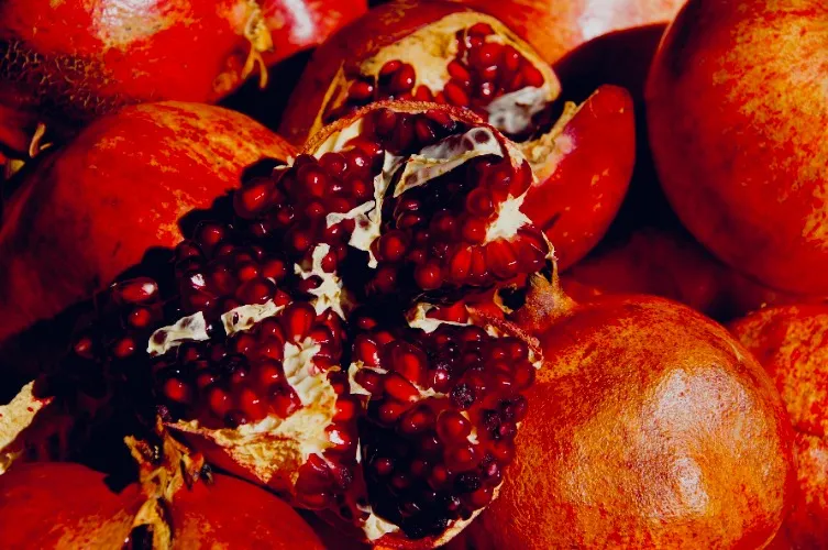 A Feast for the Coven