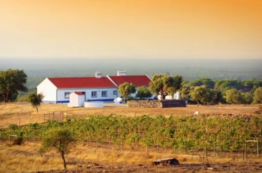 Land parcel in Portugal