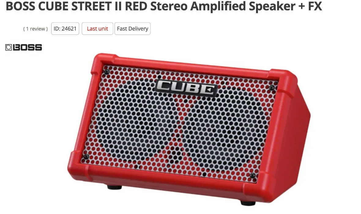 Busking Amp