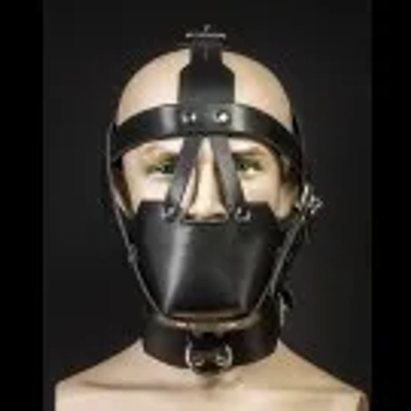 Mr. S Head Muzzle - Padded & Locking Buckles