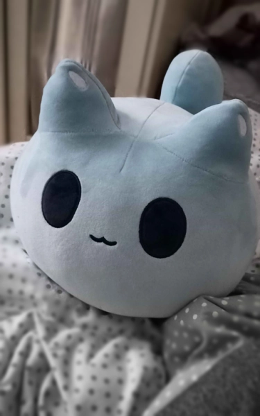 Tylupo Slime Cat Plushie !
