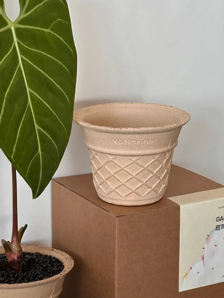 In Cream甜筒花盆