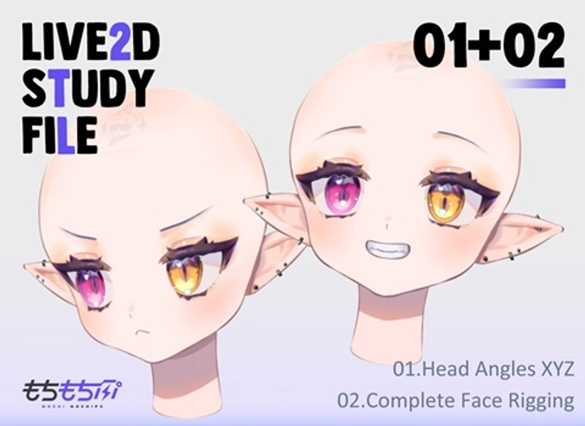 01+02：Head XYZ + Complete Face Rigging 【Live2D Study File】