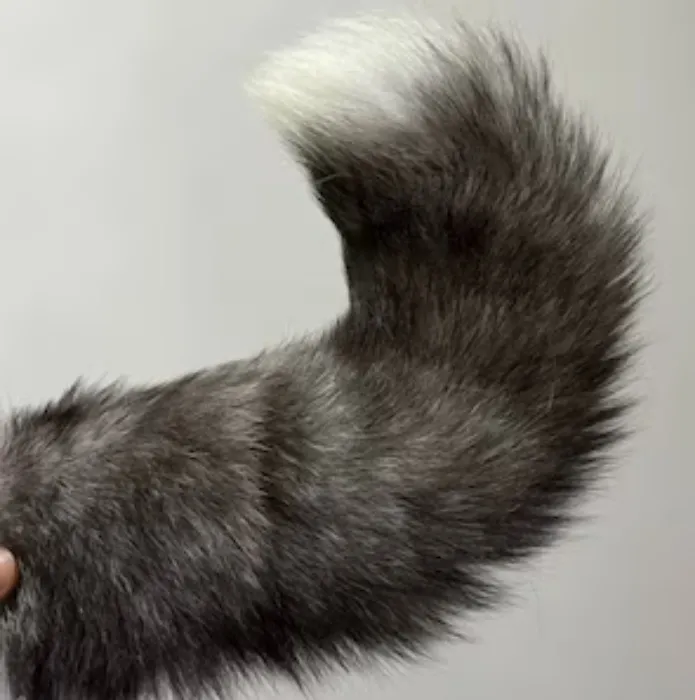 Realistic Tail