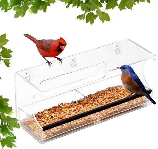 ASHMAN Deluxe Window Bird Feeder - Chewy.com