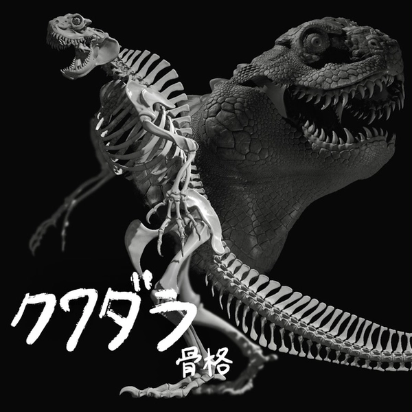 クワダラ(骨格)