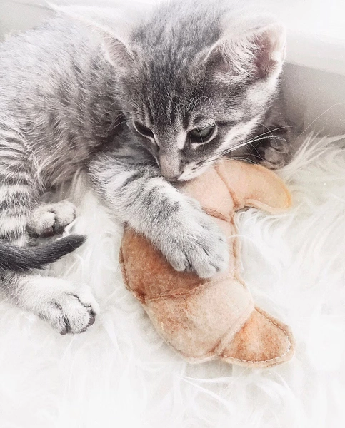 Kitty Croissant: Organic Catnip Cat Toy, Gift for Foodie