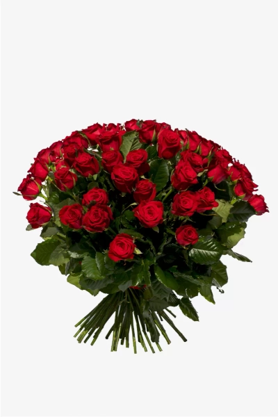 50 RED ROSES
