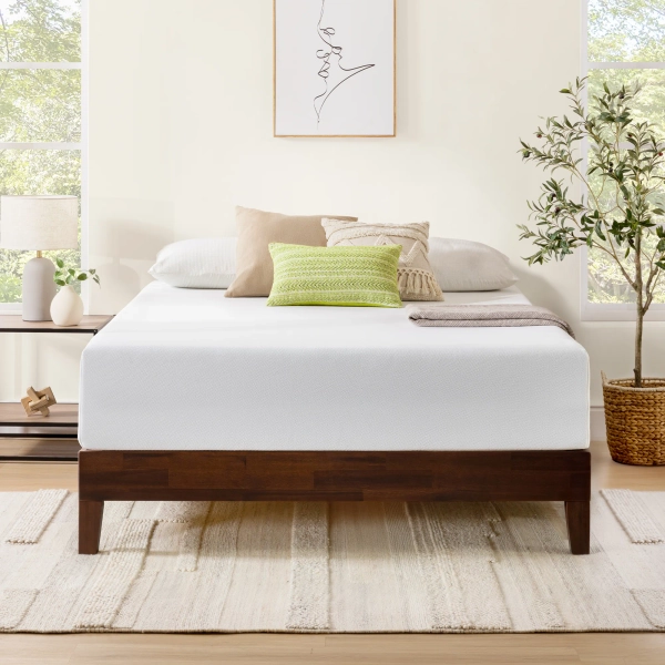Wayfair Sleep™ Wayfair Sleep Plush Memory Foam Mattress & Reviews | Wayfair
