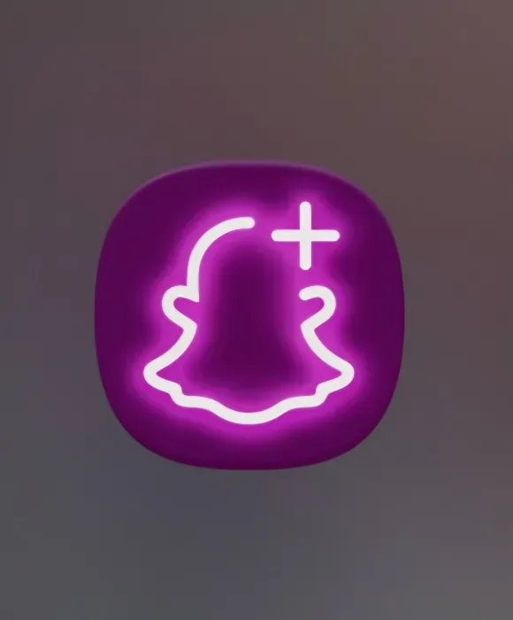 SNAP Subscription 