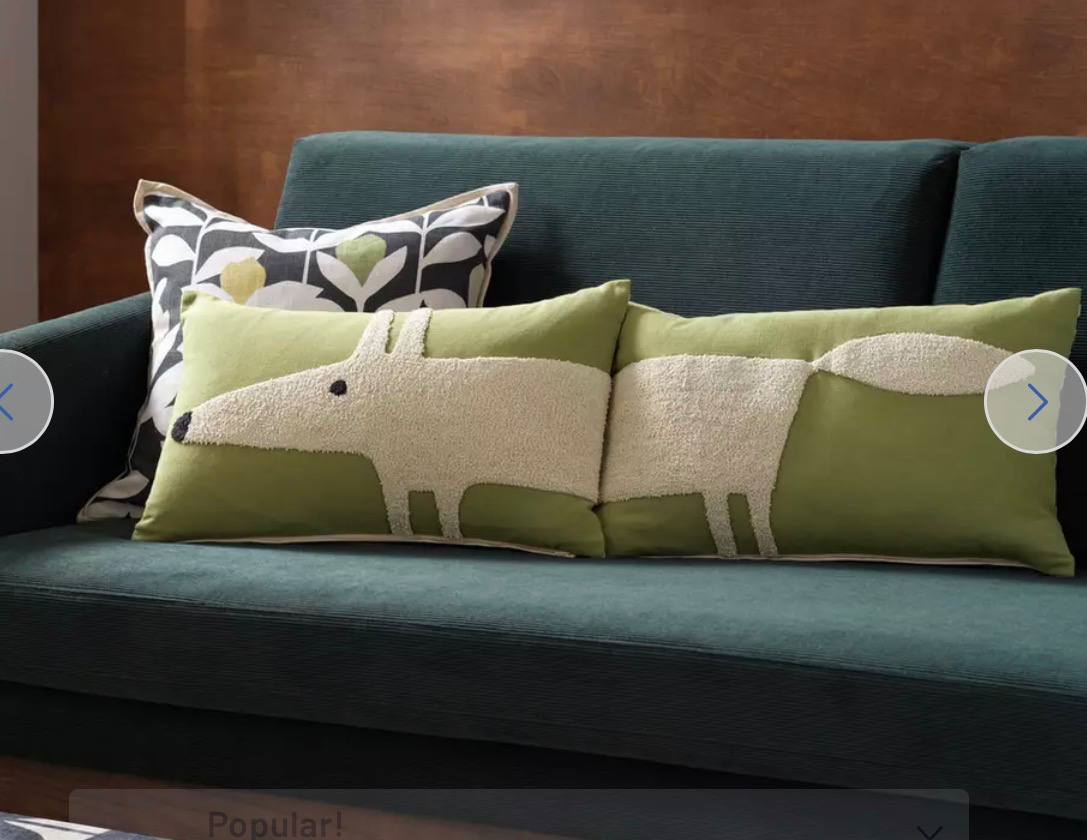 GREEN FOX SOFA CUSHIONS !!
