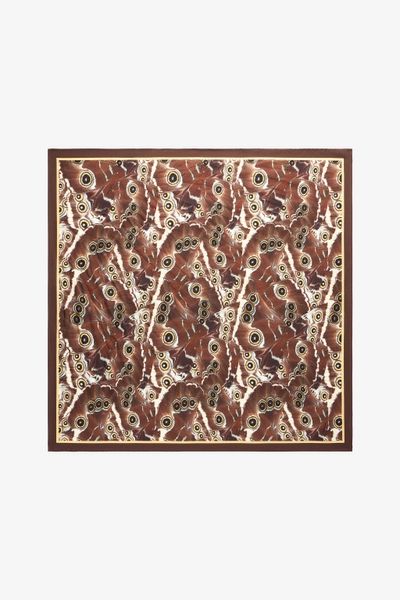 Roberto Cavalli Mini Butterfly Print Scarf - Female Scarves & Silks Brown Unica UNICA