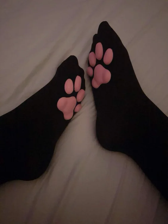 Random pawsock picture from my gallery:3
