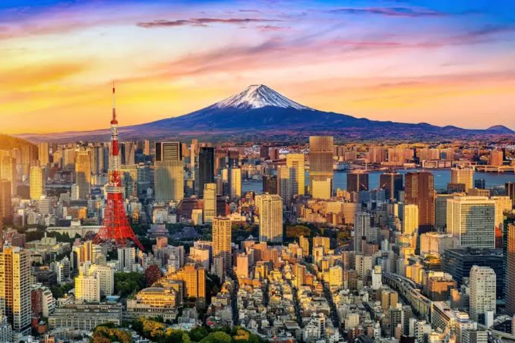 Trip to Japan ticket