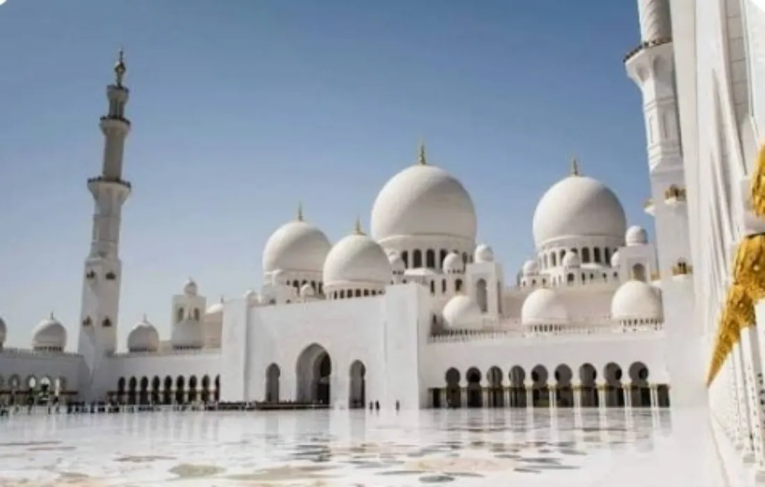 Rt game pour depouuilller la vielle